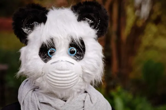 Thunderbolt Casino Suporte